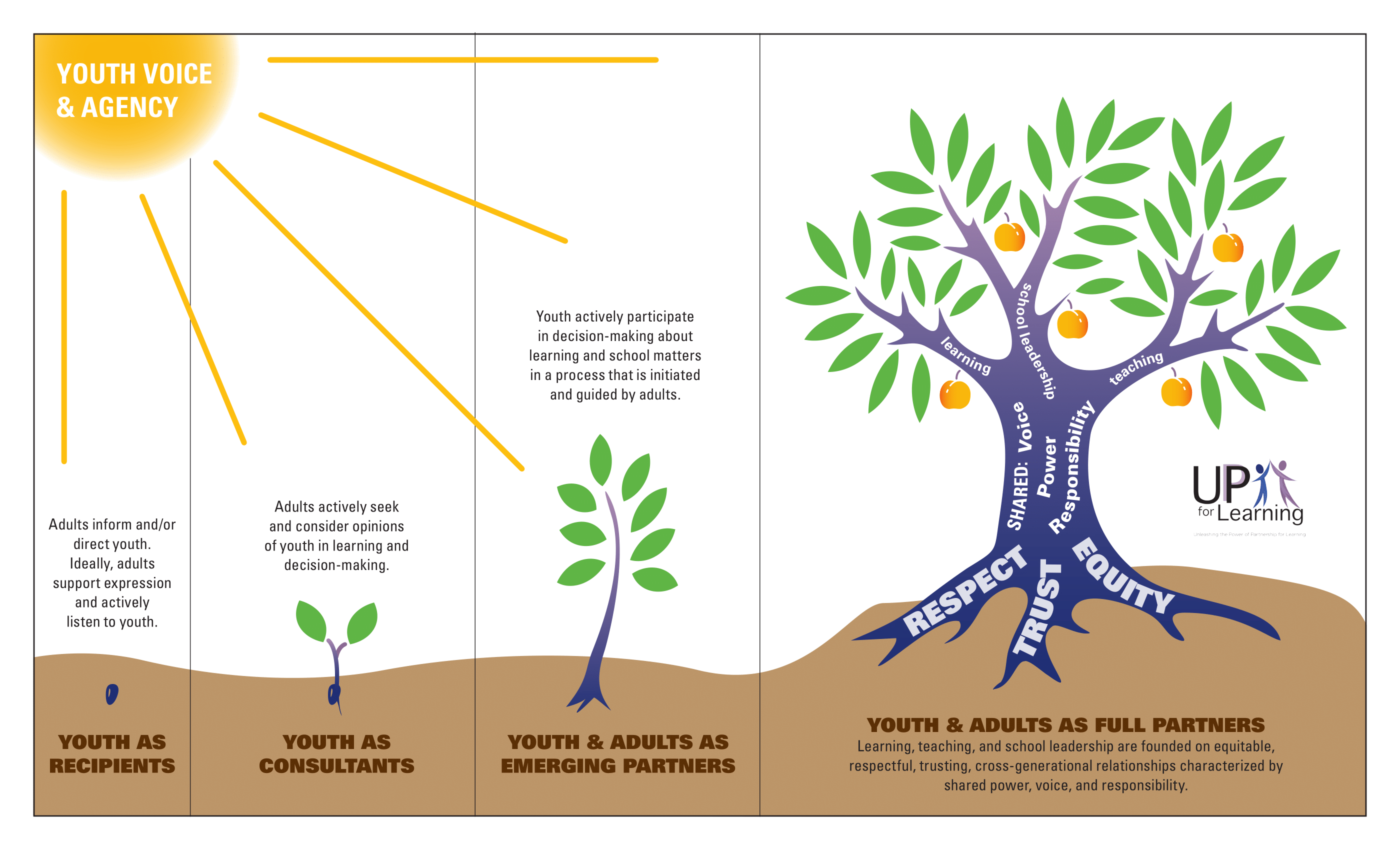 Tree metaphor showcasing the development to youth-adult full partnership