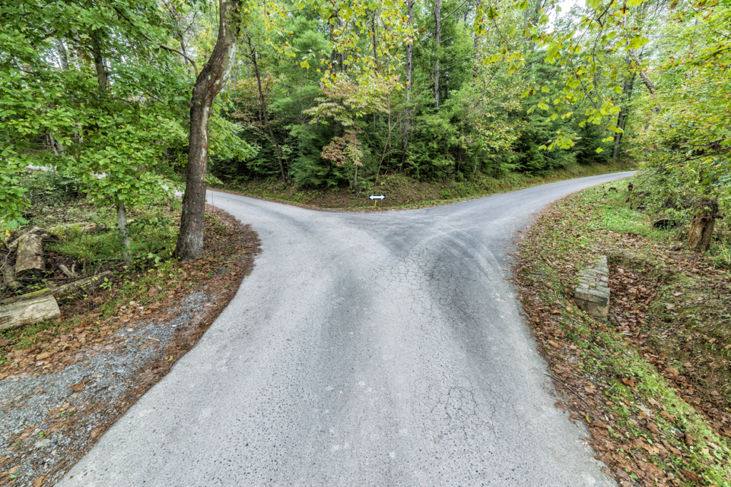 Horizontal shot of a fork in the road. Decision time.