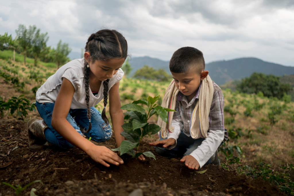 children outdoors planting a tree at the farm - agriculture concepts