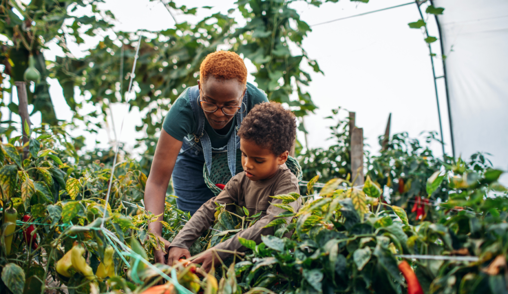 Cute little boy and his mother working in their greenhouse.