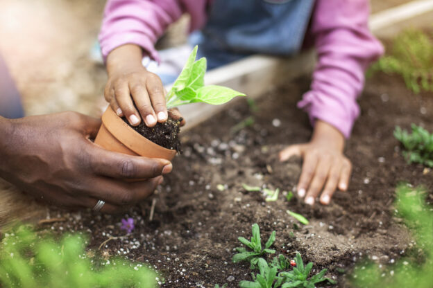 learner and practitioner planting potted plant at community garden