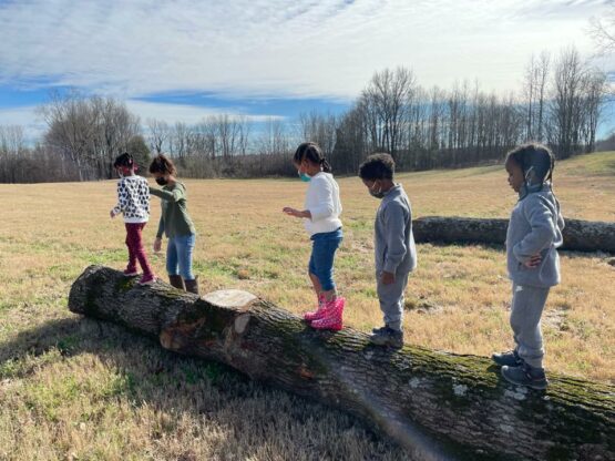 young learners standing on a log on a fallen tree in a field