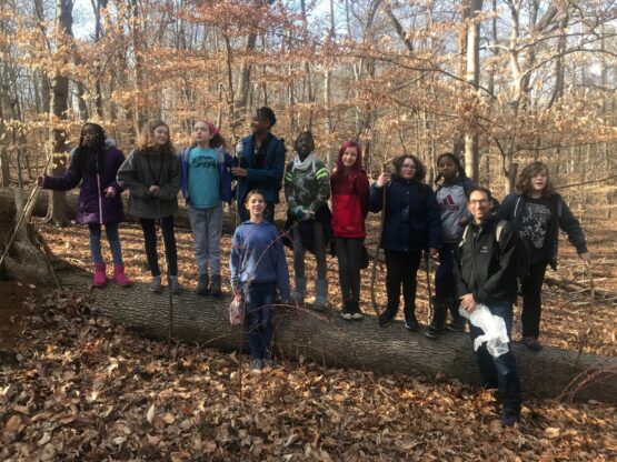 Group of learners standing on a tree log outside