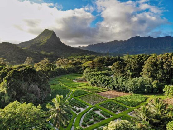 photo of Ho`okua`aina