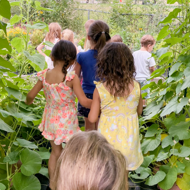 Jefferson County young learner walking through bushes in a garden outside