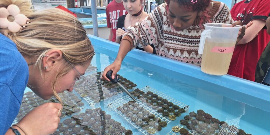 Learners inspecting old coins